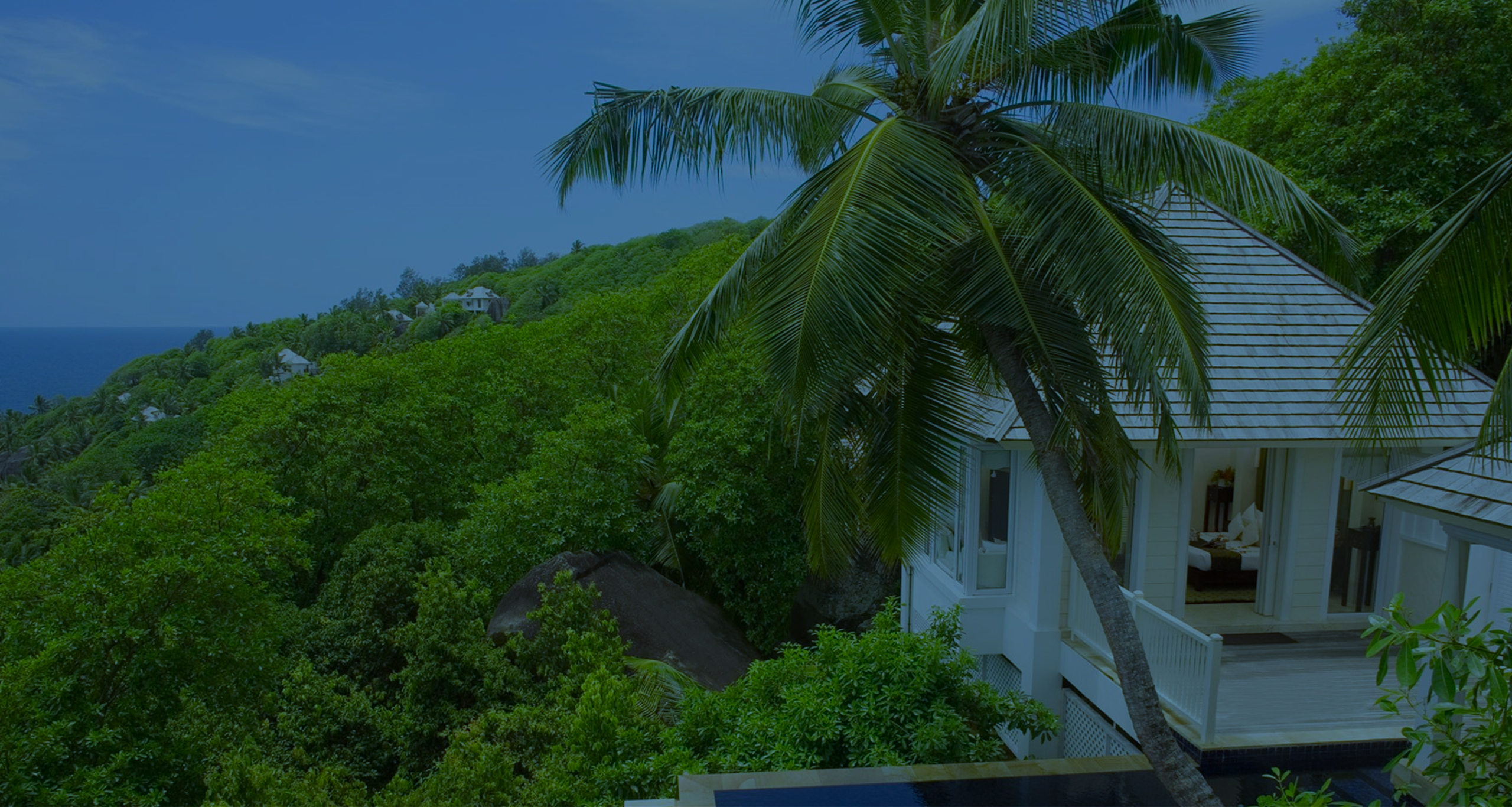 Which airline should I fly to Dubai on